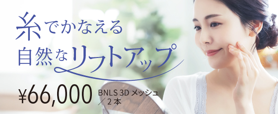 BNLS3Dメッシュ